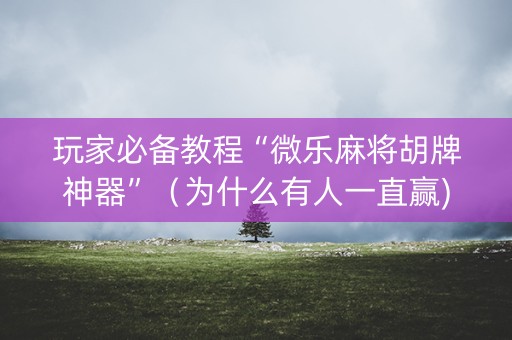 玩家必备教程“微乐麻将胡牌神器”（为什么有人一直赢)
