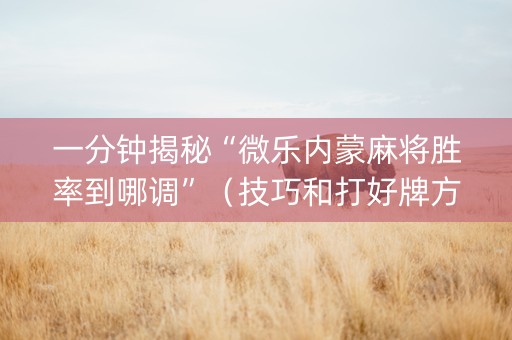 一分钟揭秘“微乐内蒙麻将胜率到哪调”（技巧和打好牌方法)