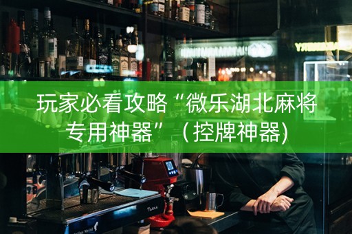 玩家必看攻略“微乐湖北麻将专用神器”（控牌神器)