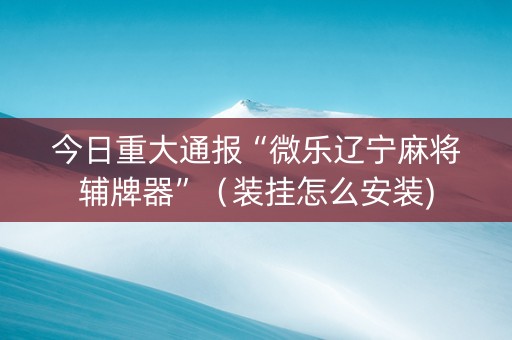 今日重大通报“微乐辽宁麻将辅牌器”（装挂怎么安装)