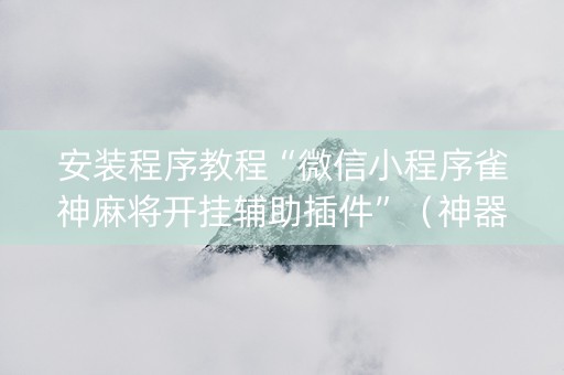 安装程序教程“微信小程序雀神麻将开挂辅助插件”（神器通用版)