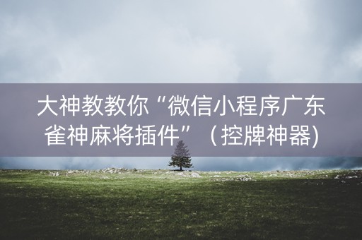 大神教教你“微信小程序广东雀神麻将插件”（控牌神器)