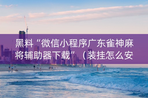 黑料“微信小程序广东雀神麻将辅助器下载”（装挂怎么安装)