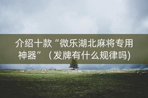 介绍十款“微乐湖北麻将专用神器”（发牌有什么规律吗)