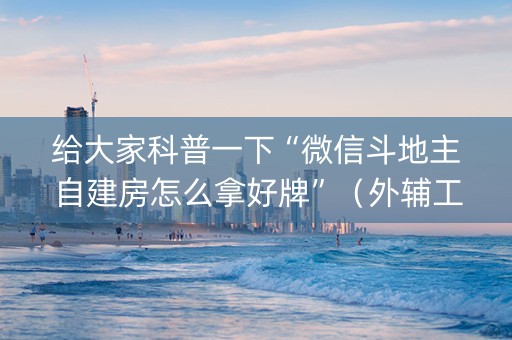 给大家科普一下“微信斗地主自建房怎么拿好牌”（外辅工具)