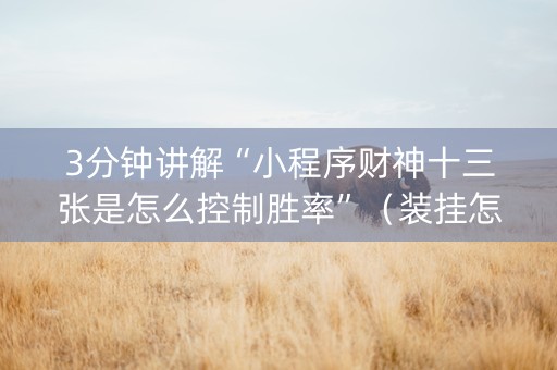 3分钟讲解“小程序财神十三张是怎么控制胜率”（装挂怎么安装)