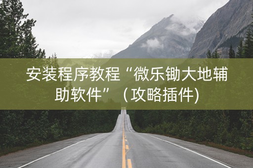 安装程序教程“微乐锄大地辅助软件”（攻略插件)