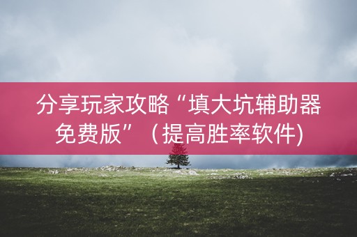 分享玩家攻略“填大坑辅助器免费版”（提高胜率软件)