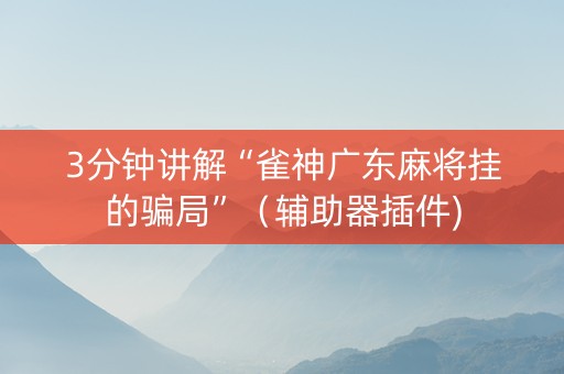 3分钟讲解“雀神广东麻将挂的骗局”（辅助器插件)