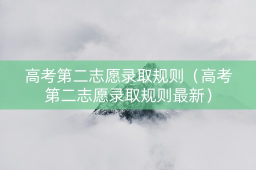 高考第二志愿录取规则（高考第二志愿录取规则最新）