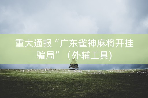 重大通报“广东雀神麻将开挂骗局”（外辅工具)