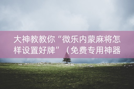 大神教教你“微乐内蒙麻将怎样设置好牌”（免费专用神器)