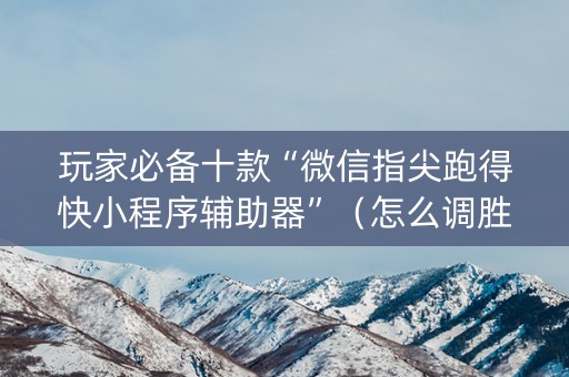 玩家必备十款“微信指尖跑得快小程序辅助器”（怎么调胜率)