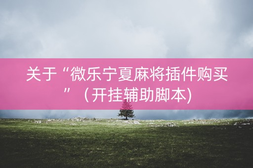 关于“微乐宁夏麻将插件购买”（开挂辅助脚本)
