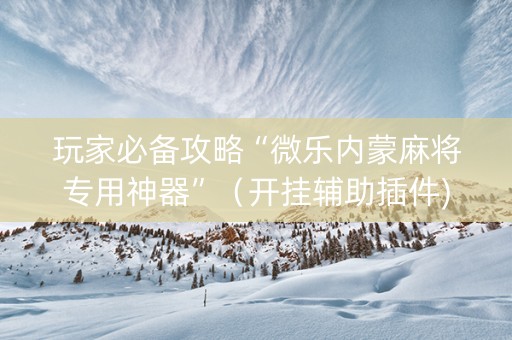 玩家必备攻略“微乐内蒙麻将专用神器”（开挂辅助插件)