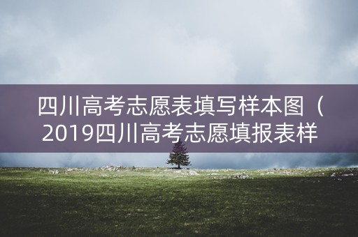 四川高考志愿表填写样本图（2019四川高考志愿填报表样板）