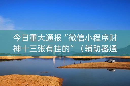 今日重大通报“微信小程序财神十三张有挂的”（辅助器通用版)