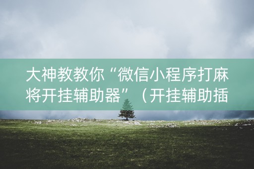 大神教教你“微信小程序打麻将开挂辅助器”（开挂辅助插件)