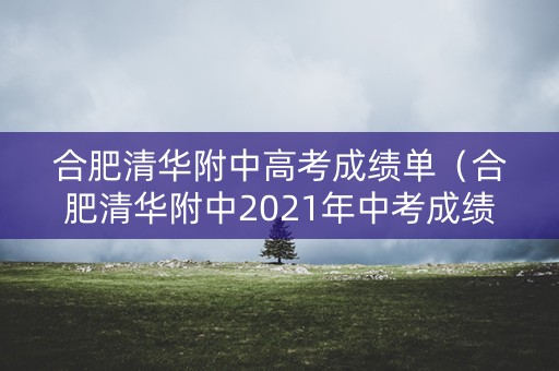 合肥清华附中高考成绩单（合肥清华附中2021年中考成绩）