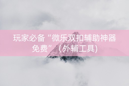 玩家必备“微乐双扣辅助神器免费”（外辅工具)