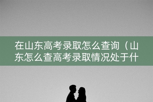 在山东高考录取怎么查询（山东怎么查高考录取情况处于什么状态）