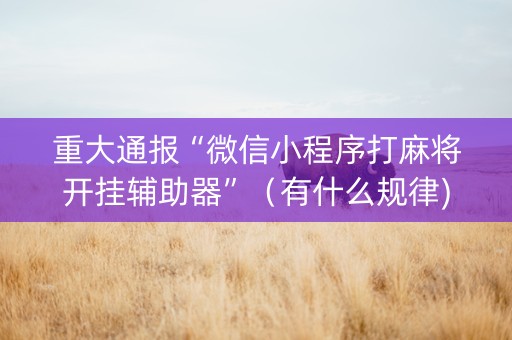 重大通报“微信小程序打麻将开挂辅助器”（有什么规律)