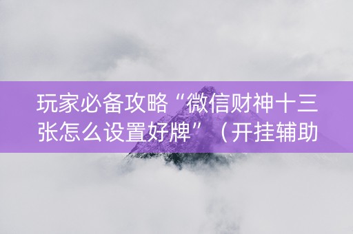玩家必备攻略“微信财神十三张怎么设置好牌”（开挂辅助器插件)