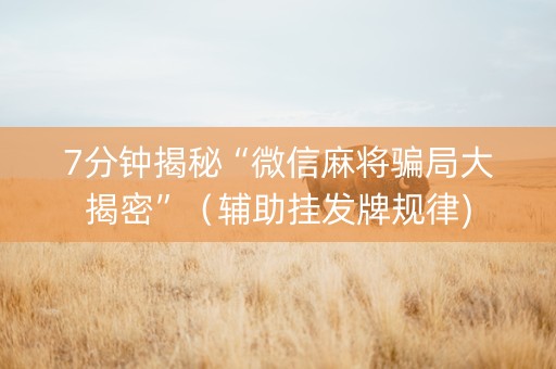 7分钟揭秘“微信麻将骗局大揭密”（辅助挂发牌规律)