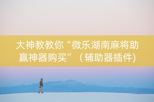 大神教教你“微乐湖南麻将助赢神器购买”（辅助器插件)