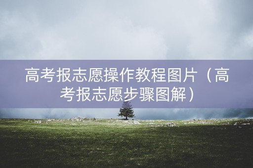 高考报志愿操作教程图片（高考报志愿步骤图解）