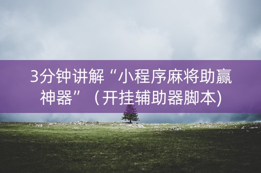 3分钟讲解“小程序麻将助赢神器”（开挂辅助器脚本)