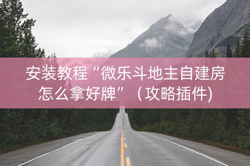 安装教程“微乐斗地主自建房怎么拿好牌”（攻略插件)