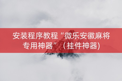 安装程序教程“微乐安徽麻将专用神器”（挂件神器)
