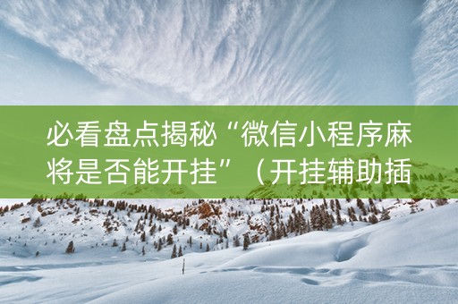 必看盘点揭秘“微信小程序麻将是否能开挂”（开挂辅助插件)