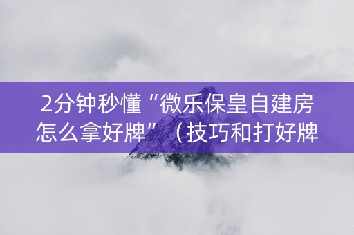 2分钟秒懂“微乐保皇自建房怎么拿好牌”（技巧和打好牌方法)