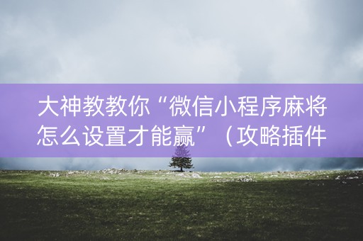 大神教教你“微信小程序麻将怎么设置才能赢”（攻略插件)