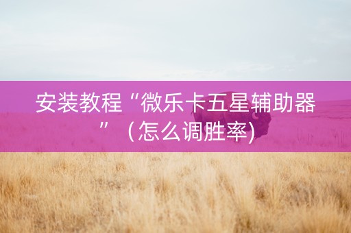 安装教程“微乐卡五星辅助器”（怎么调胜率)
