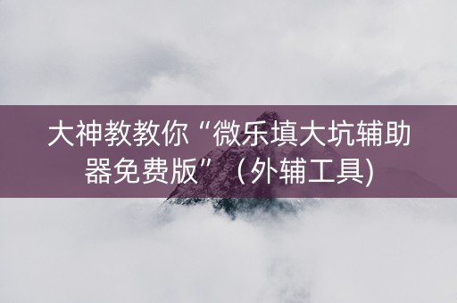 大神教教你“微乐填大坑辅助器免费版”（外辅工具)