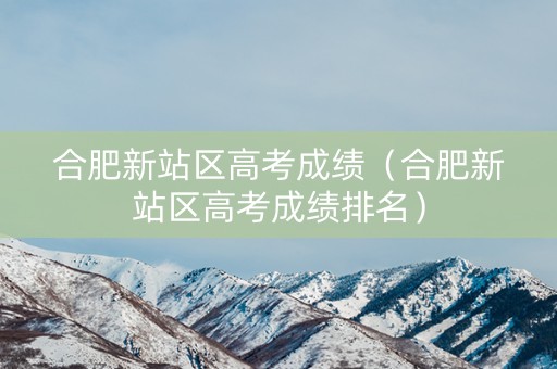 合肥新站区高考成绩（合肥新站区高考成绩排名）