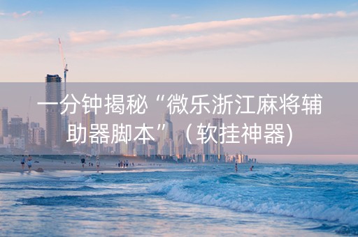 一分钟揭秘“微乐浙江麻将辅助器脚本”（软挂神器)