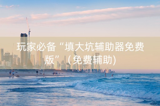 玩家必备“填大坑辅助器免费版”（免费辅助)