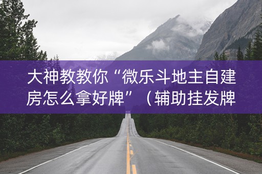 大神教教你“微乐斗地主自建房怎么拿好牌”（辅助挂发牌规律)