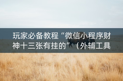 玩家必备教程“微信小程序财神十三张有挂的”（外辅工具)
