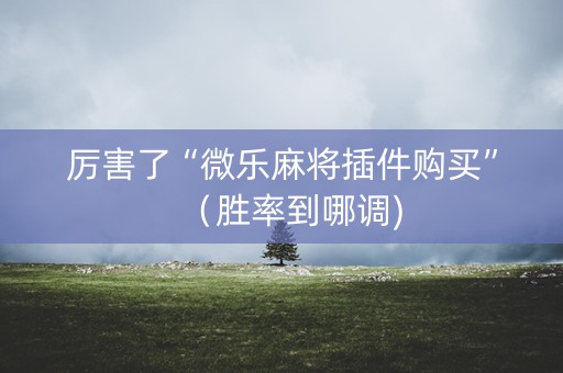 厉害了“微乐麻将插件购买”（胜率到哪调)