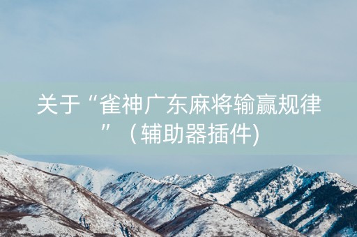 关于“雀神广东麻将输赢规律”（辅助器插件)
