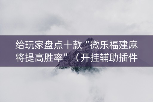 给玩家盘点十款“微乐福建麻将提高胜率”（开挂辅助插件)