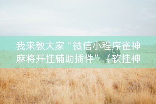 我来教大家“微信小程序雀神麻将开挂辅助插件”（软挂神器)