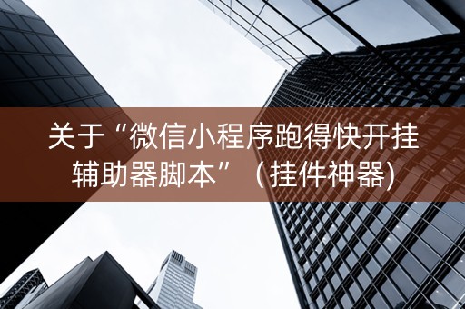 关于“微信小程序跑得快开挂辅助器脚本”（挂件神器)