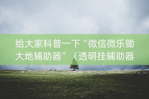给大家科普一下“微信微乐锄大地辅助器”（透明挂辅助器)