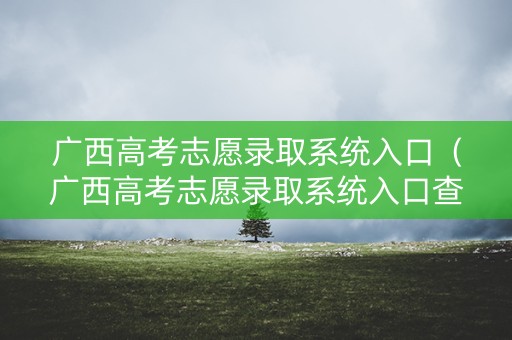 广西高考志愿录取系统入口（广西高考志愿录取系统入口查询）